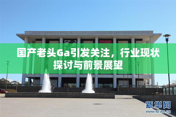 国产老头Ga引发关注，行业现状探讨与前景展望