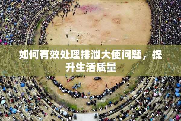如何有效处理排泄大便问题，提升生活质量