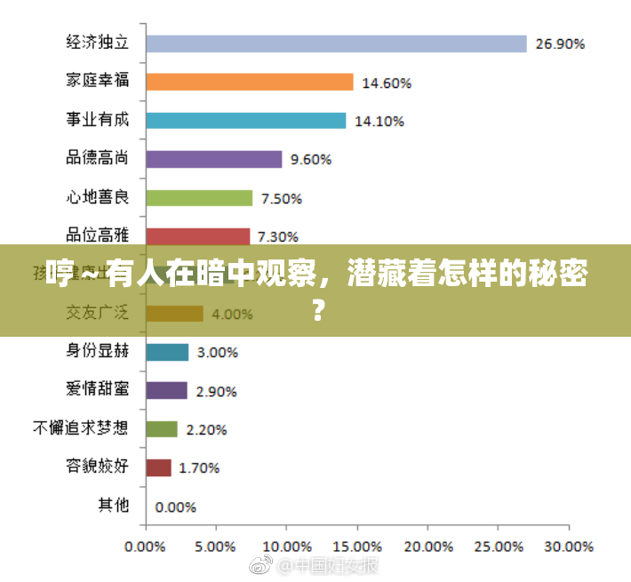 哼～有人在暗中观察，潜藏着怎样的秘密？