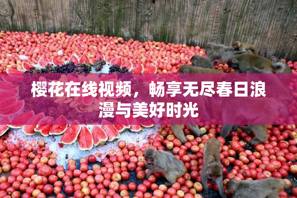 樱花在线视频，畅享无尽春日浪漫与美好时光