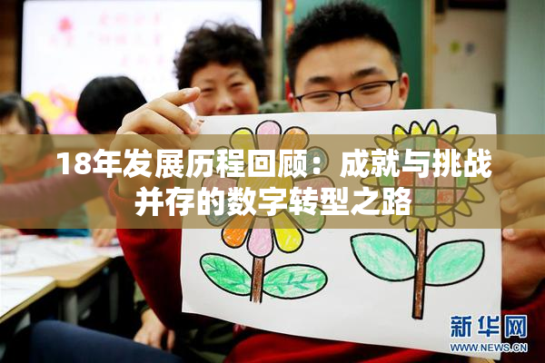18年发展历程回顾：成就与挑战并存的数字转型之路