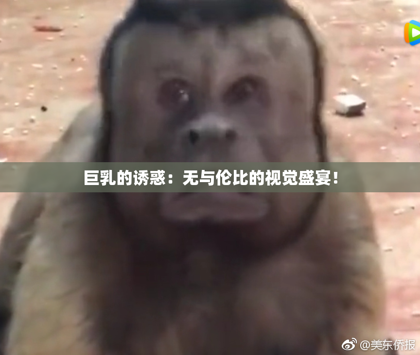 巨乳的诱惑：无与伦比的视觉盛宴！