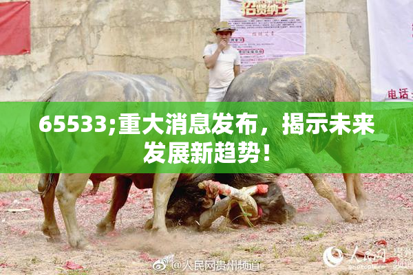65533;重大消息发布，揭示未来发展新趋势！