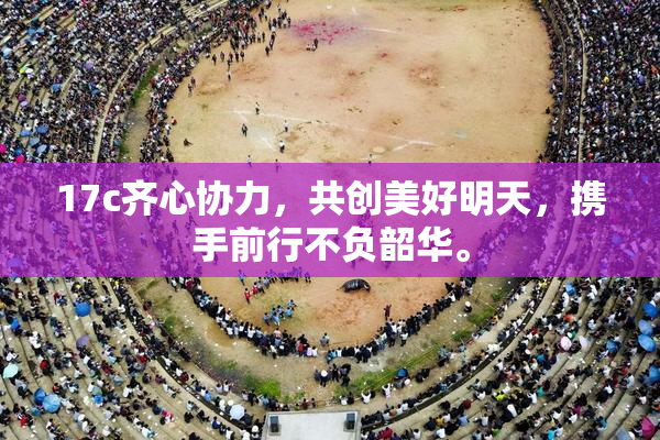 17c齐心协力，共创美好明天，携手前行不负韶华。