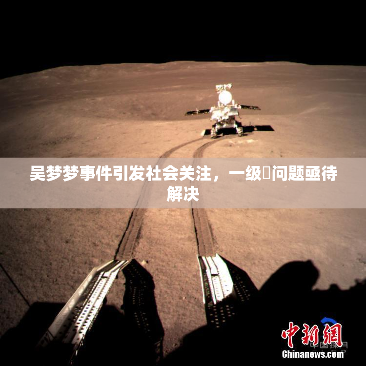 吴梦梦事件引发社会关注，一级婬问题亟待解决