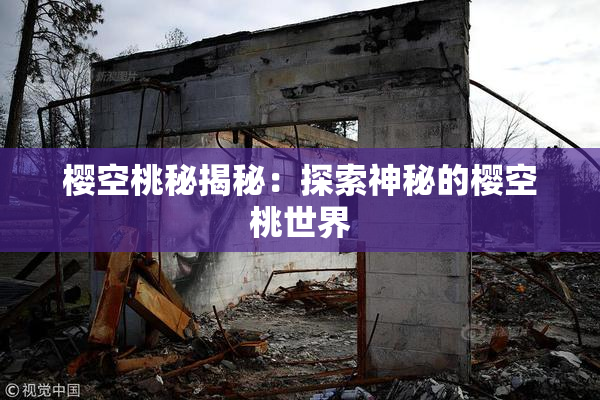 樱空桃秘揭秘：探索神秘的樱空桃世界