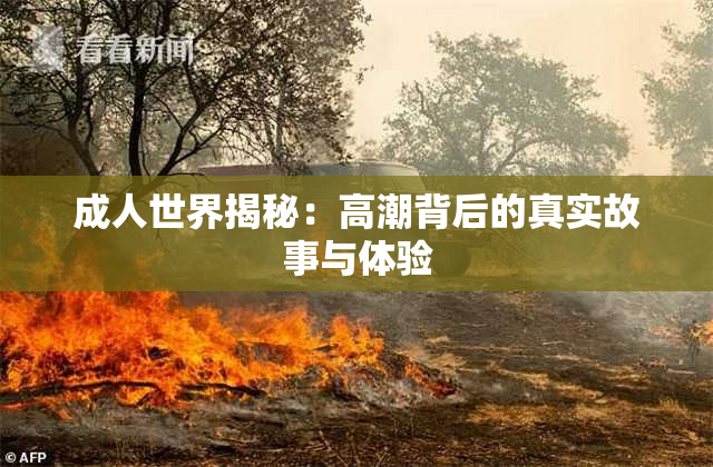 成人世界揭秘：高潮背后的真实故事与体验
