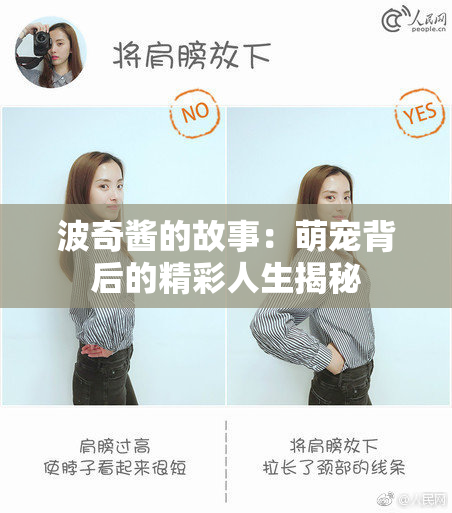 波奇酱的故事：萌宠背后的精彩人生揭秘