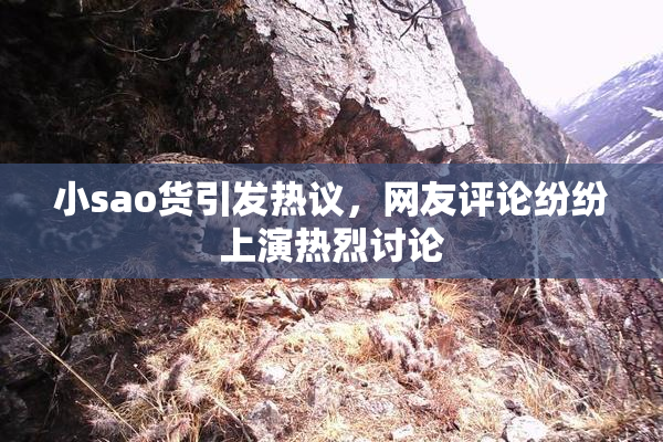 小sao货引发热议，网友评论纷纷上演热烈讨论