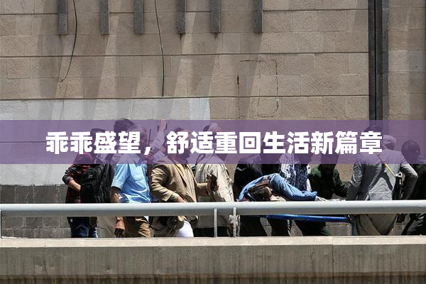 乖乖盛望，舒适重回生活新篇章