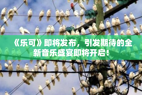 《乐可》即将发布，引发期待的全新音乐盛宴即将开启！