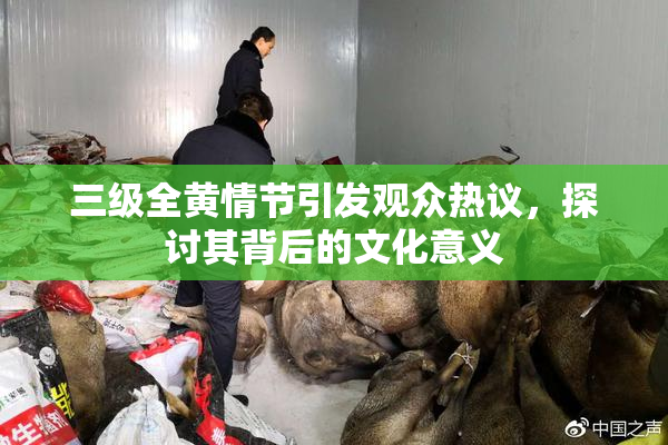 三级全黄情节引发观众热议，探讨其背后的文化意义