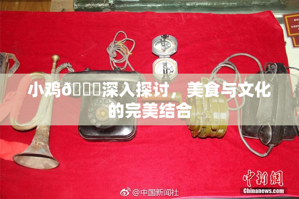小鸡🐔深入探讨，美食与文化的完美结合