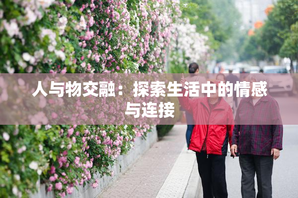 人与物交融：探索生活中的情感与连接