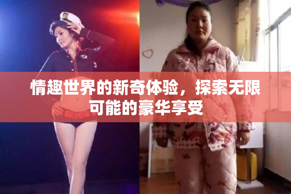 情趣世界的新奇体验，探索无限可能的豪华享受