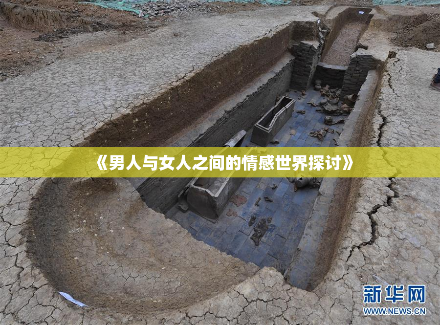 《男人与女人之间的情感世界探讨》