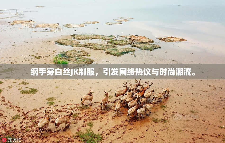 纲手穿白丝JK制服，引发网络热议与时尚潮流。