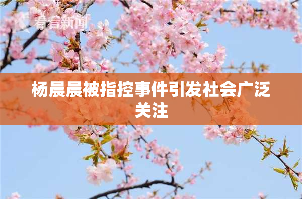 杨晨晨被指控事件引发社会广泛关注