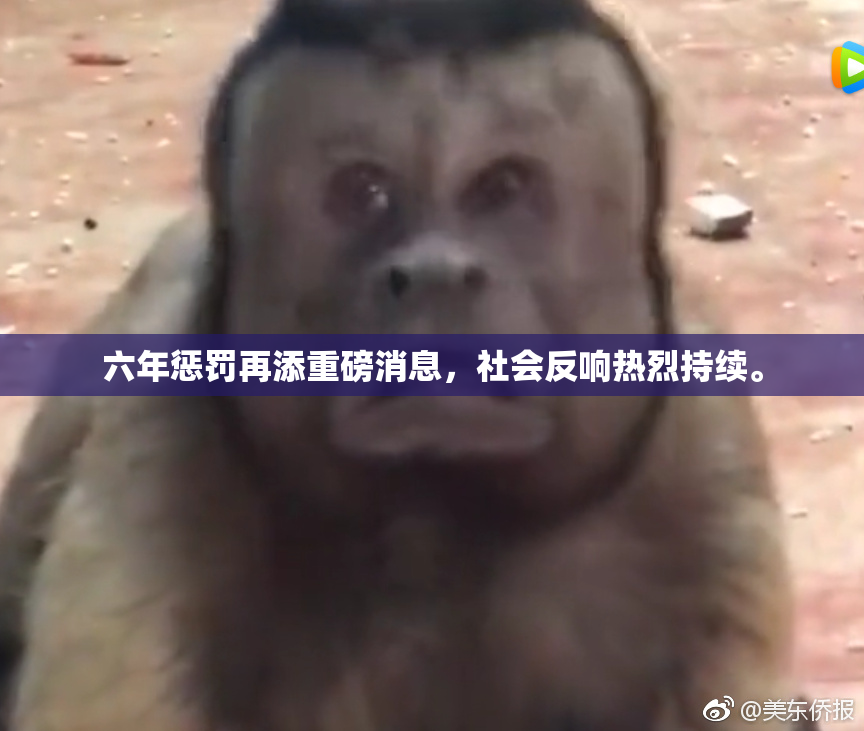 六年惩罚再添重磅消息，社会反响热烈持续。