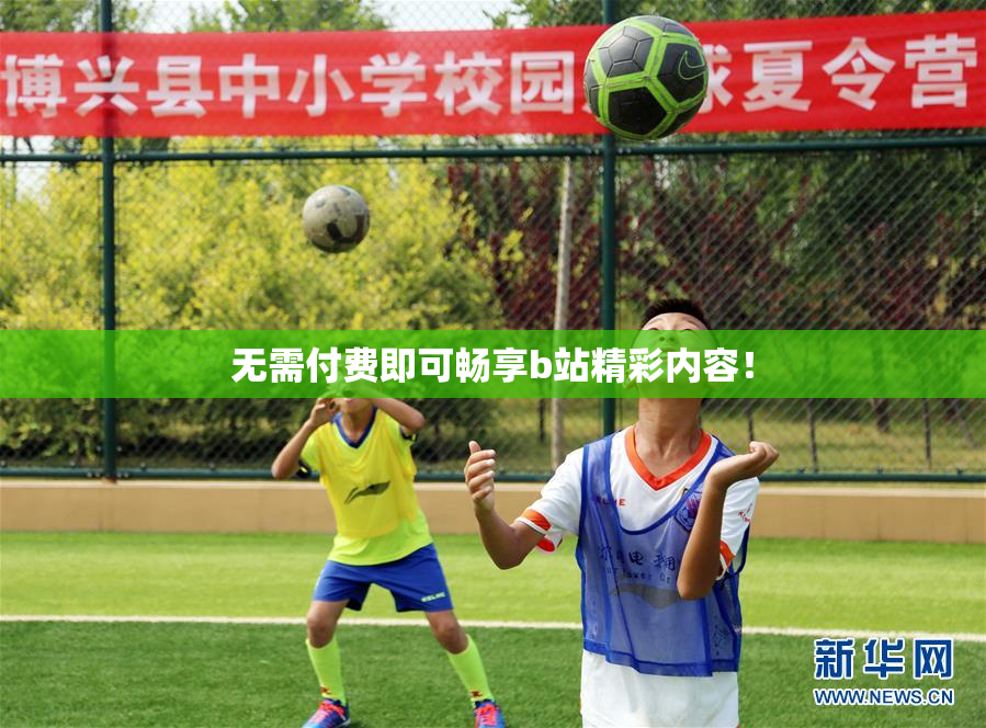 无需付费即可畅享b站精彩内容！