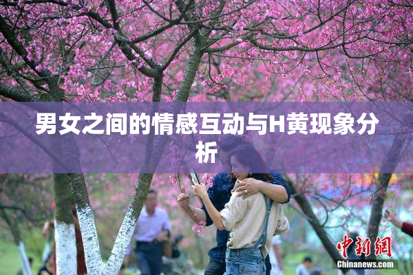 男女之间的情感互动与H黄现象分析