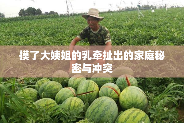 摸了大姨姐的乳牵扯出的家庭秘密与冲突