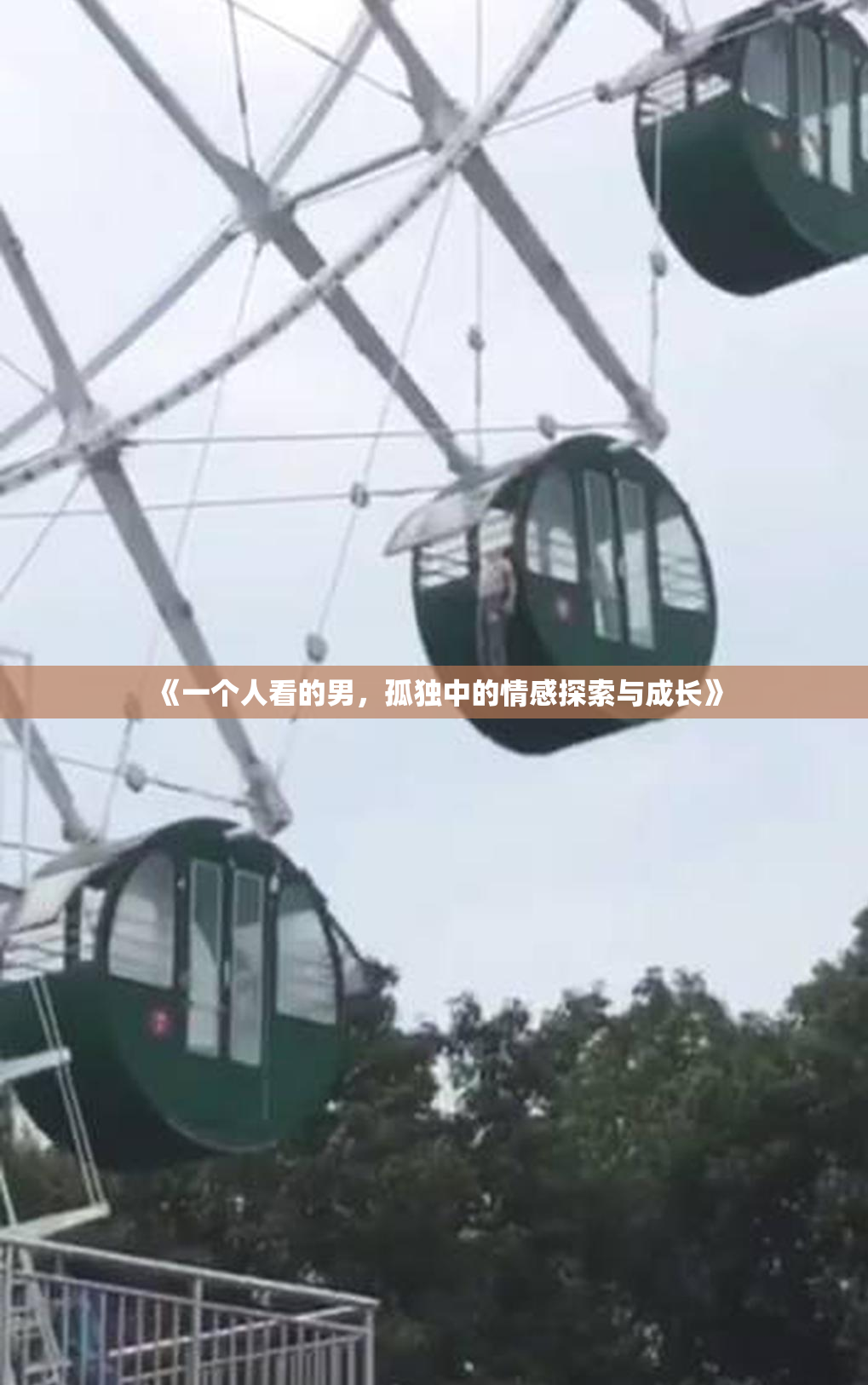 《一个人看的男，孤独中的情感探索与成长》