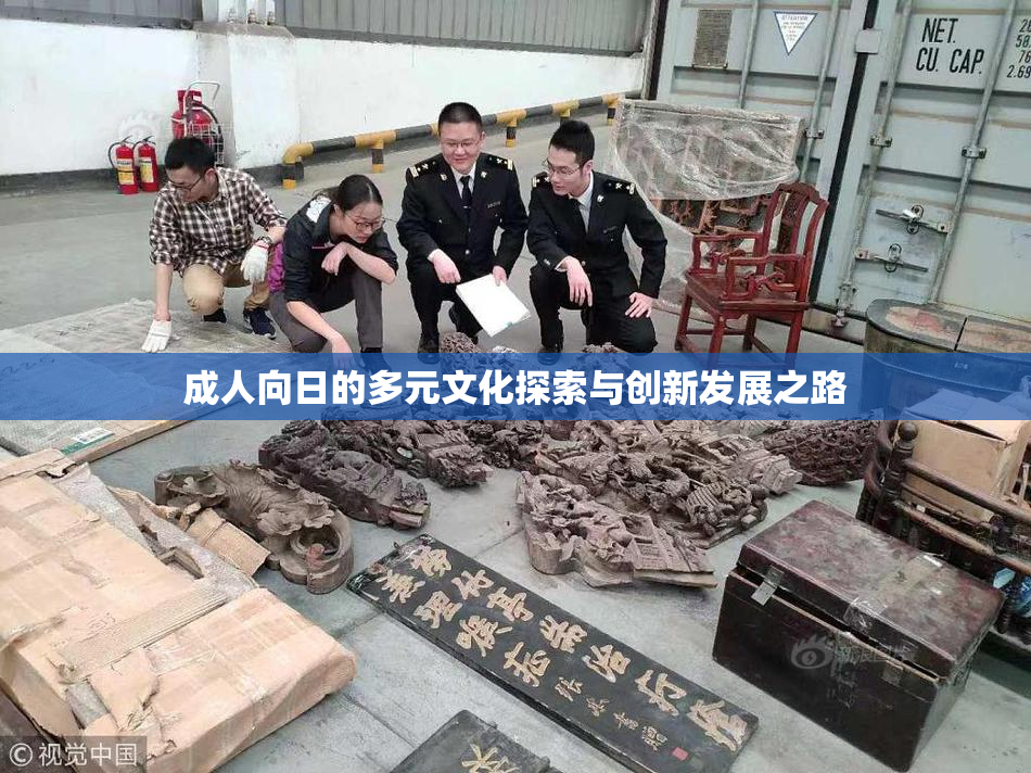 成人向日的多元文化探索与创新发展之路
