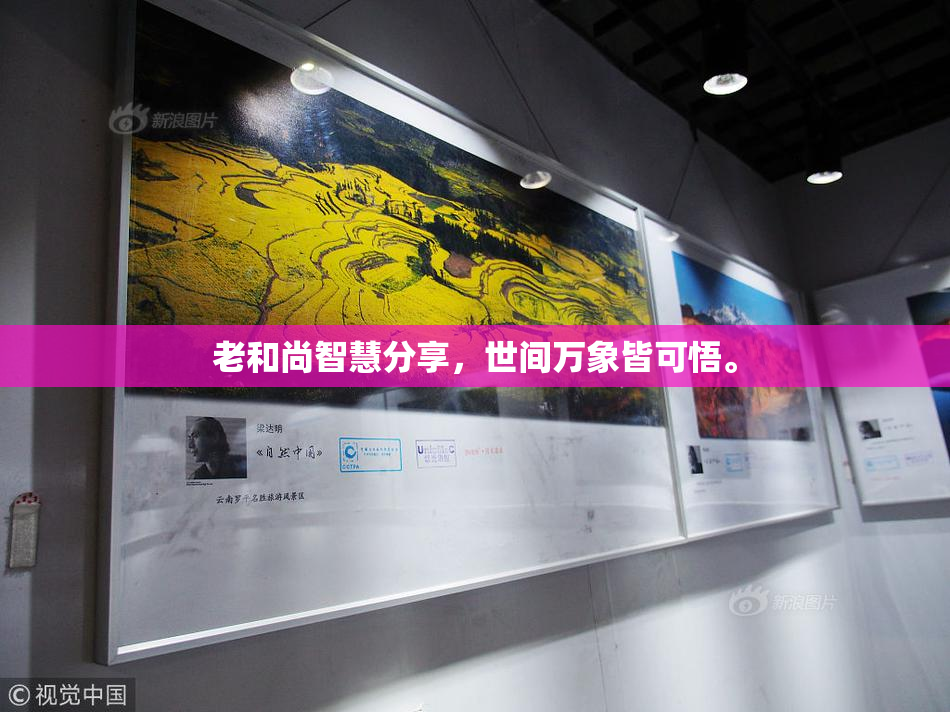 老和尚智慧分享，世间万象皆可悟。