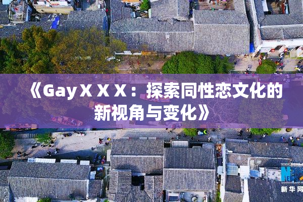 《GayⅩⅩⅩ：探索同性恋文化的新视角与变化》