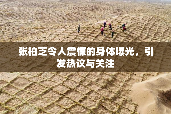 张柏芝令人震惊的身体曝光，引发热议与关注