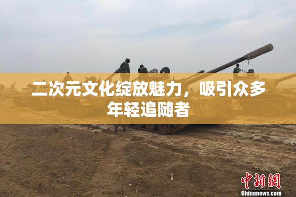 二次元文化绽放魅力，吸引众多年轻追随者