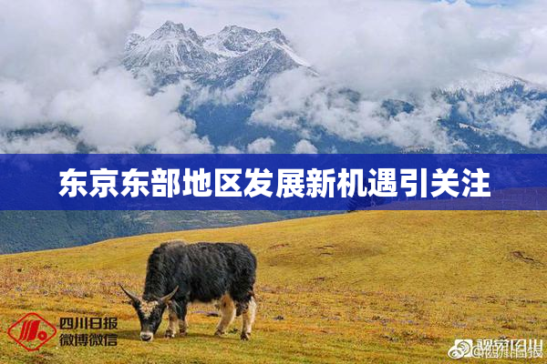 东京东部地区发展新机遇引关注