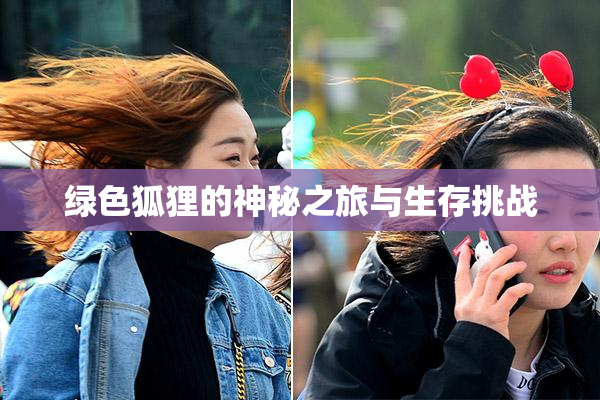 绿色狐狸的神秘之旅与生存挑战