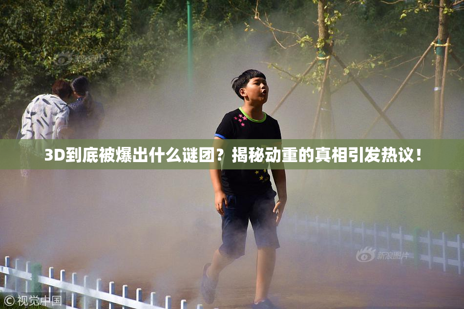 3D到底被爆出什么谜团？揭秘动重的真相引发热议！