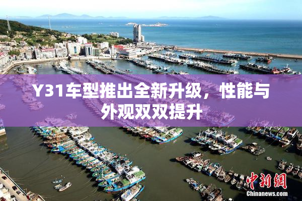 Y31车型推出全新升级，性能与外观双双提升