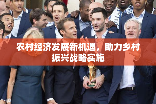 农村经济发展新机遇，助力乡村振兴战略实施