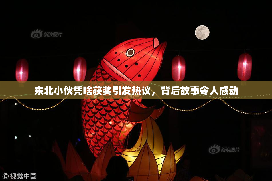 东北小伙凭啥获奖引发热议，背后故事令人感动