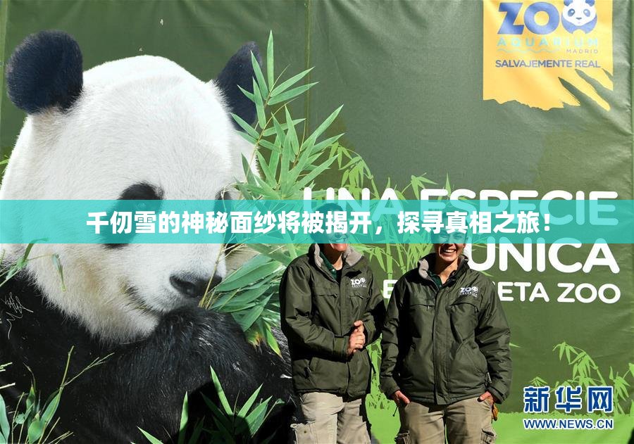 千仞雪的神秘面纱将被揭开，探寻真相之旅！