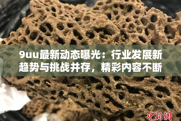 9uu最新动态曝光：行业发展新趋势与挑战并存，精彩内容不断更新！