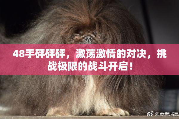 48手砰砰砰，激荡激情的对决，挑战极限的战斗开启！