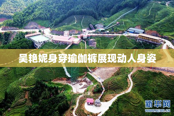 吴艳妮身穿瑜伽裤展现动人身姿