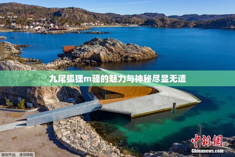 九尾狐狸m骚的魅力与神秘尽显无遗