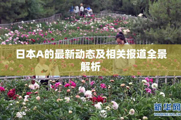 日本A的最新动态及相关报道全景解析