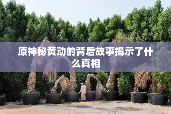 原神秘黄动的背后故事揭示了什么真相