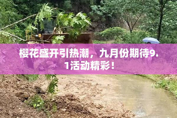 樱花盛开引热潮，九月份期待9.1活动精彩！