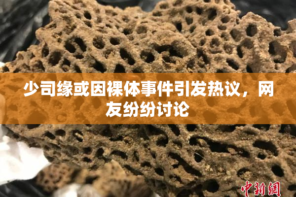 少司缘或因裸体事件引发热议，网友纷纷讨论