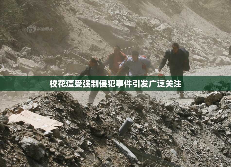 校花遭受强制侵犯事件引发广泛关注