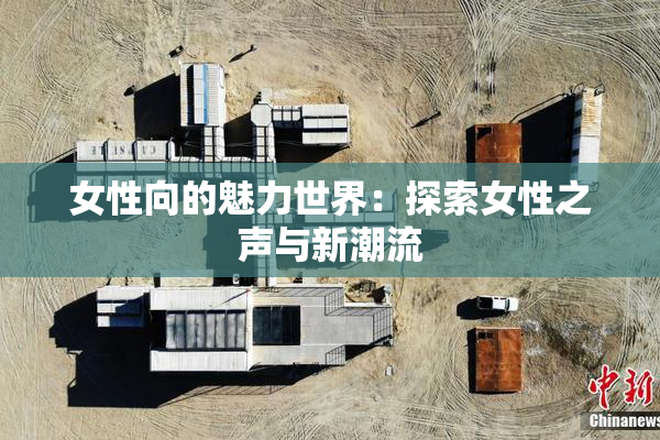 女性向的魅力世界：探索女性之声与新潮流